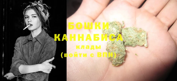 Альфа ПВП Гусь-Хрустальный