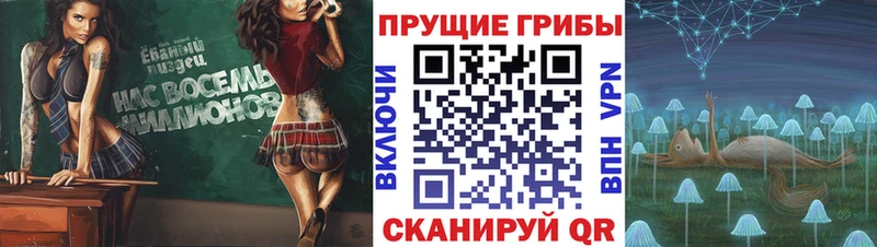 продажа наркотиков  Ильский  Псилоцибиновые грибы Psilocybe 
